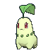 Chikorita