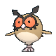 Hoothoot