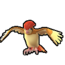 Pidgeotto