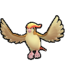 Pidgeot