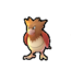 Spearow