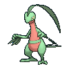 Grovyle