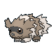 Zigzagoon