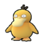 Psyduck