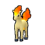 Ponyta