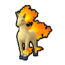 Rapidash
