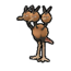 Dodrio